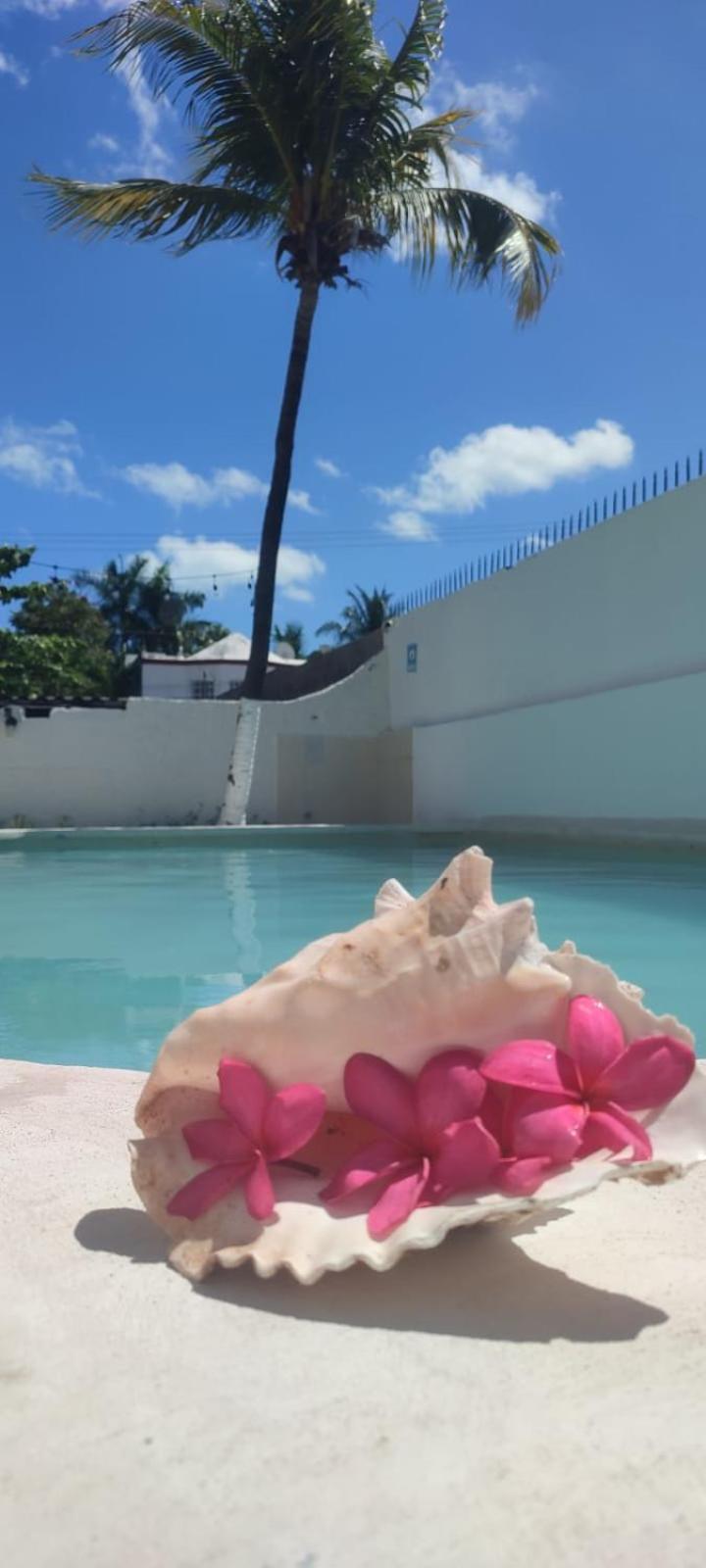 Hotel Coral 坎昆 外观 照片
